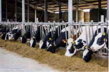 ������w�|Ѻ